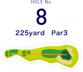 HOLE No.8 225yard  Par3