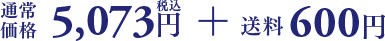 通常価格4,980円(税込)+送料600円