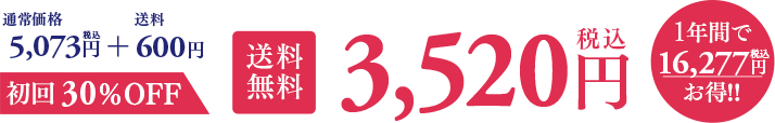 初回30%OFF 送料無料 3,456円(税込)