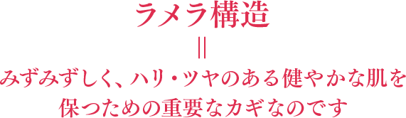 乾燥肌や荒れた肌の角質層内部は、ラメラ構造が乱れ、細胞間脂質の規則性が崩れている状態。ラメラ構造とは肌内部の角質層を拡大すると、水分と油分がミルフィーユ状に交互に重なり、規則正しく並んだ状態のことです。何層にも重なった水分と油分の層が、紫外線などの外部刺激から肌を守ります。