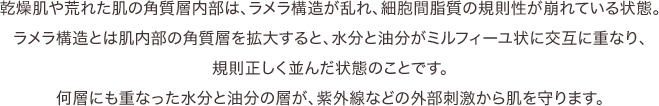 ラメラ構造=みずみずしく、ハリ・ツヤのある健やかな肌を保つための重要なカギなのです