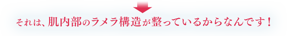 それは、肌内部のラメラ構造が整っているからなんです！