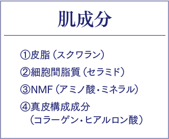 肌成分