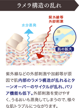 ラメラ構造の乱れ