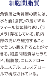 真皮構成成分 角質層と角質層の間には、水と油（脂質）の層がミルフィール状に繰り返し（ラメラ）存在している。肌内部の潤いを維持することで美しい肌を作ることができる。細胞間脂質はセラミド、脂肪酸、コレステロールエステル、コレステロールで構成されている。