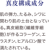 細胞間脂質 肌の弾力、たるみ、シワに関わり肌の土台となっている。真皮細胞（繊維芽細胞）が作るコラーゲン、エラスチン、ヒアルロン酸で満たされている。