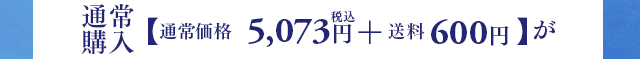 通常購入【通常価格4,980円(税込) + 送料600円】が