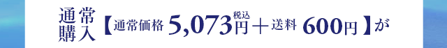 通常購入【通常価格4,980円(税込) + 送料600円】が