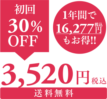 初回30%OFF 送料無料 3,456円(税込)