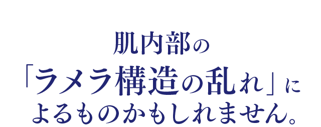 肌内部の「ラメラ構造の乱れ」によるものかもしれません。