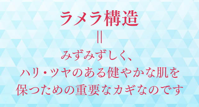 ラメラ構造=みずみずしく、ハリ・ツヤのある健やかな肌を保つための重要なカギなのです