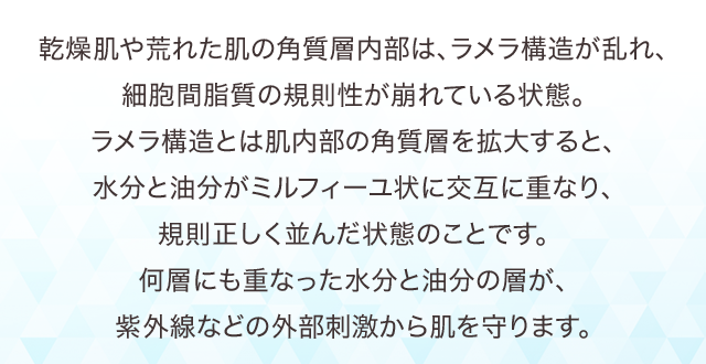 乾燥肌や荒れた肌の角質層内部は、ラメラ構造が乱れ、細胞間脂質の規則性が崩れている状態。ラメラ構造とは肌内部の角質層を拡大すると、水分と油分がミルフィーユ状に交互に重なり、規則正しく並んだ状態のことです。何層にも重なった水分と油分の層が、紫外線などの外部刺激から肌を守ります。