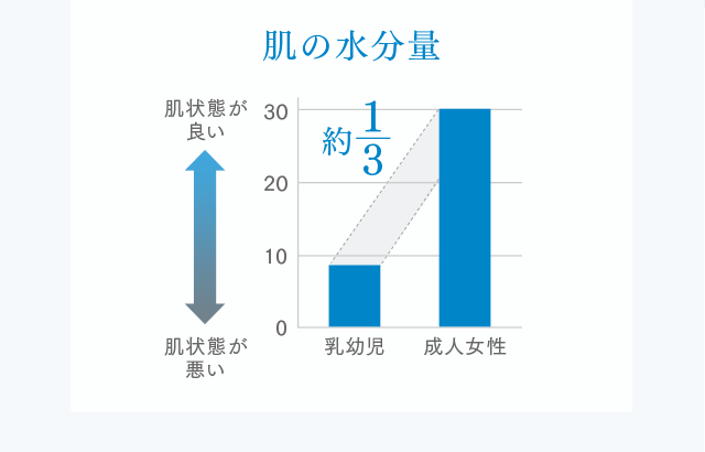 肌の水分量