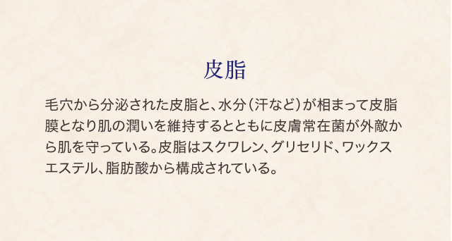 皮脂 毛穴から分泌された皮脂と、水分（汗など）が相まって皮脂膜となり肌の潤いを維持するとともに皮膚常在菌が外敵から肌を守っている。皮脂はスクワレン、グリセリド、ワックスエステル、脂肪酸から構成されている。