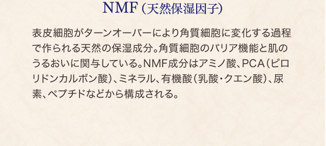 NMF(天然保湿因子) 表皮細胞がターンオーバーにより角質細胞に変化する過程で作られる天然の保湿成分。角質細胞のバリア機能と肌のうるおいに関与している。NMF成分はアミノ酸、PCA（ピロリドンカルボン酸）、ミネラル、有機酸（乳酸・クエン酸）、尿素、ペプチドなどから構成される。